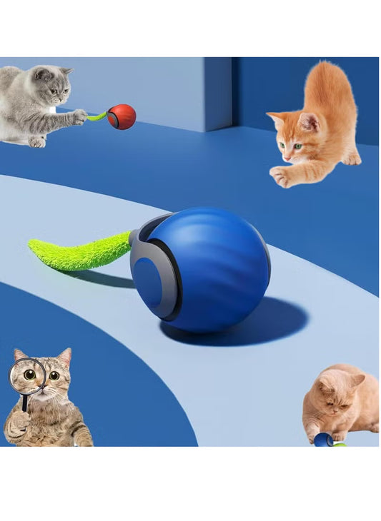Speedy Cat Tail