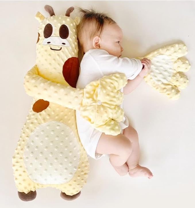 Choco Bean Hugging Pillow