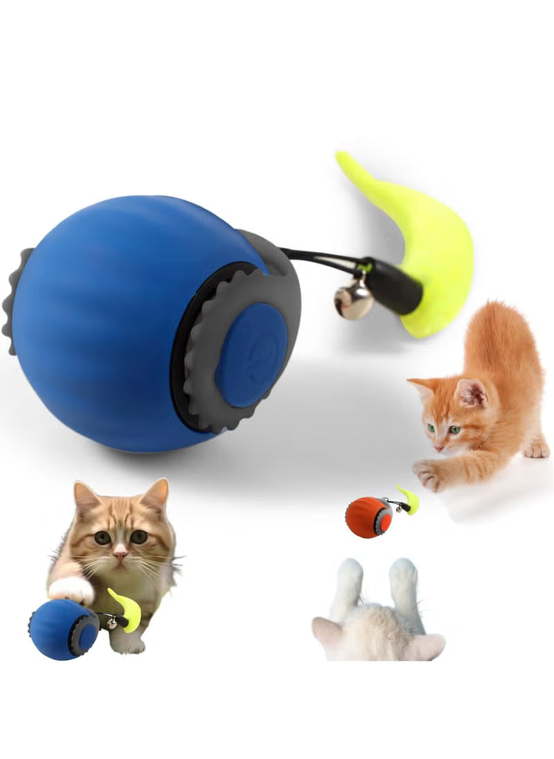 Speedy Cat Tail