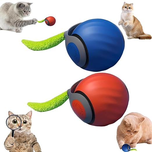 Speedy Cat Tail