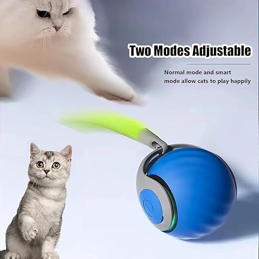 Speedy Cat Tail