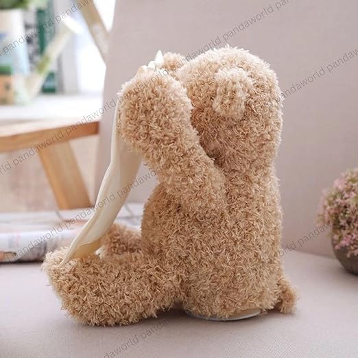 Plush Toy Playing Hide and Seek
