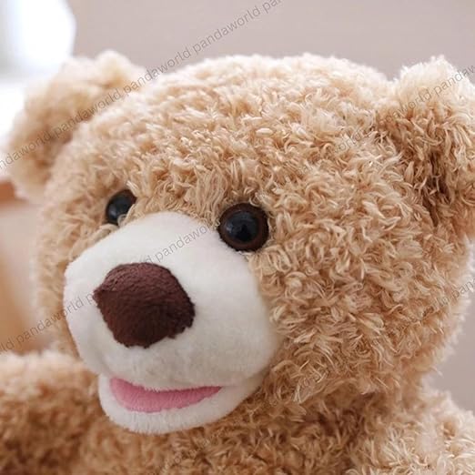 Plush Toy Playing Hide and Seek
