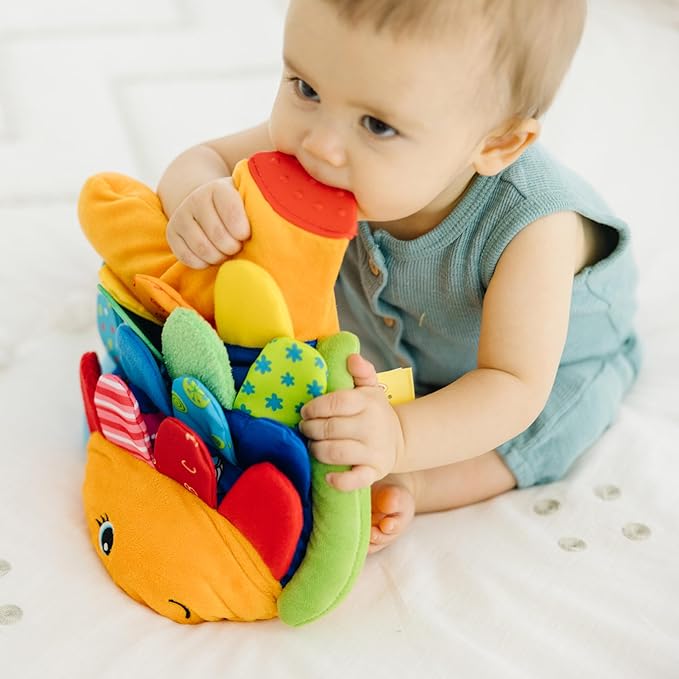 Sensory Fish