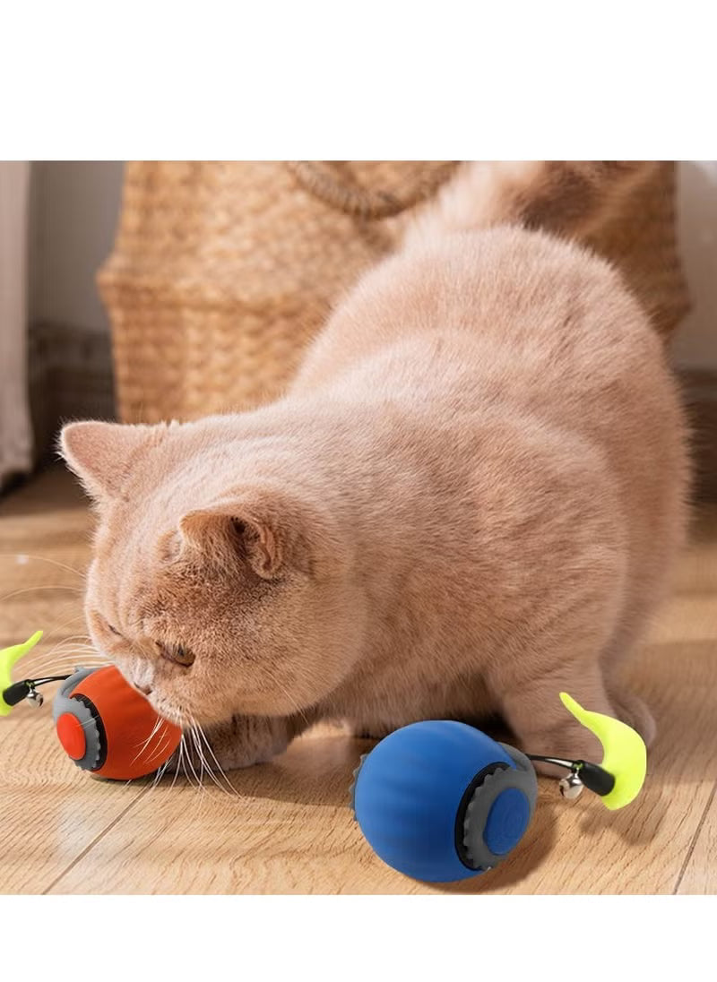 Speedy Cat Tail