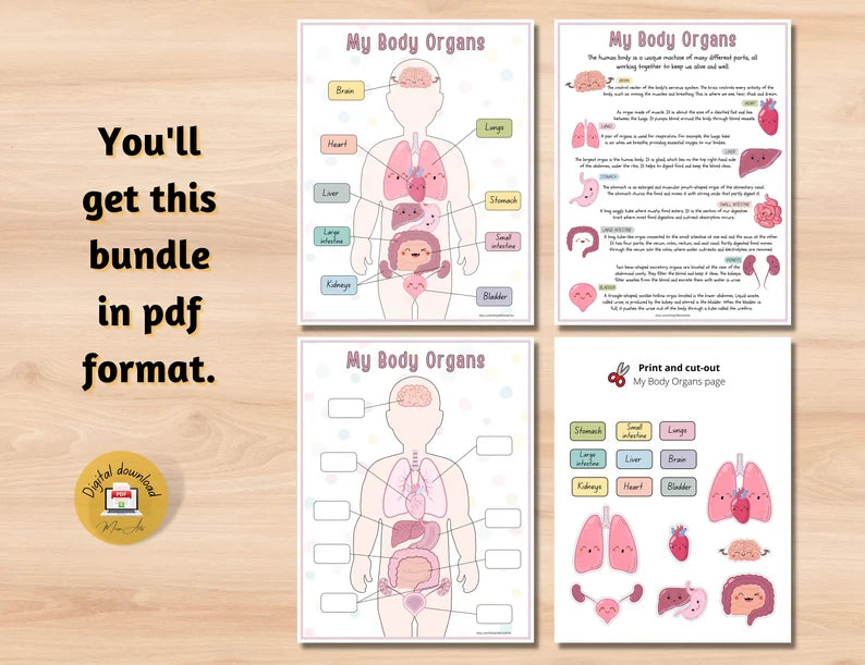 Human Anatomy Busy Book